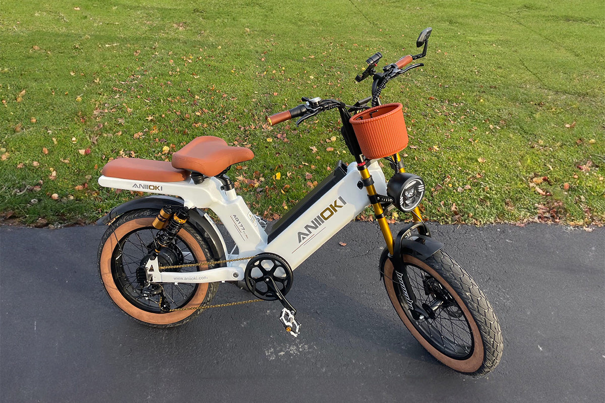 electric bicycle for women Ecotric Lark City Bike 60 mile range with the finest 48v 14Ah Samsung battery and highly flat Ladies Classic eBike Black -