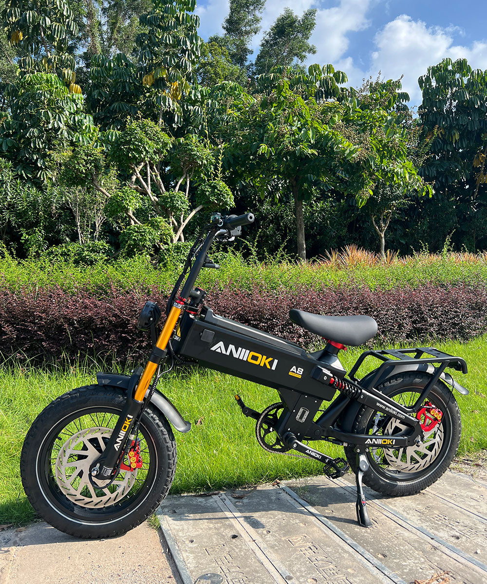 Why A8 Pro Max 52V Dual Motor?