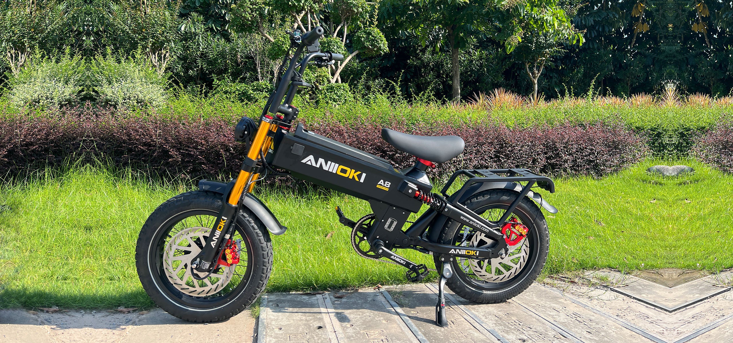 Why A8 Pro Max 52V Dual Motor?