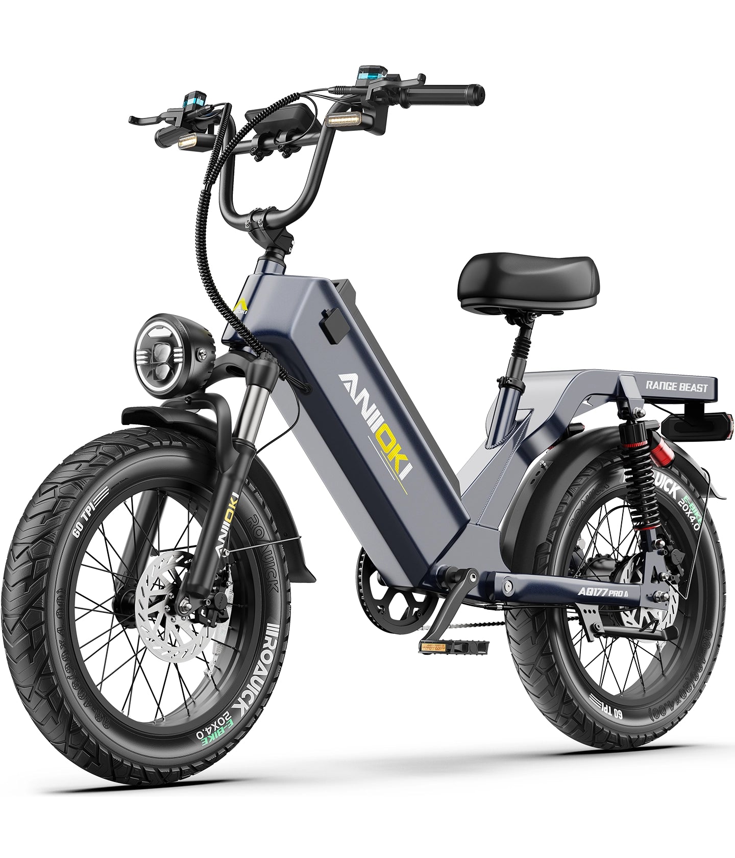 Affordable Electric Bike