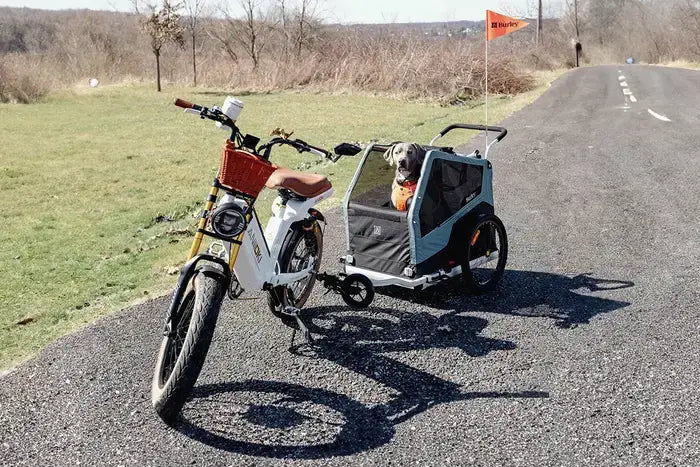 Step-Through vs. Step-Over Bikes: Which Option Suits You Best?