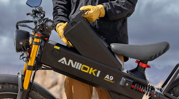 Troubleshooting a Non-Starting ANIIOKI E-Bike