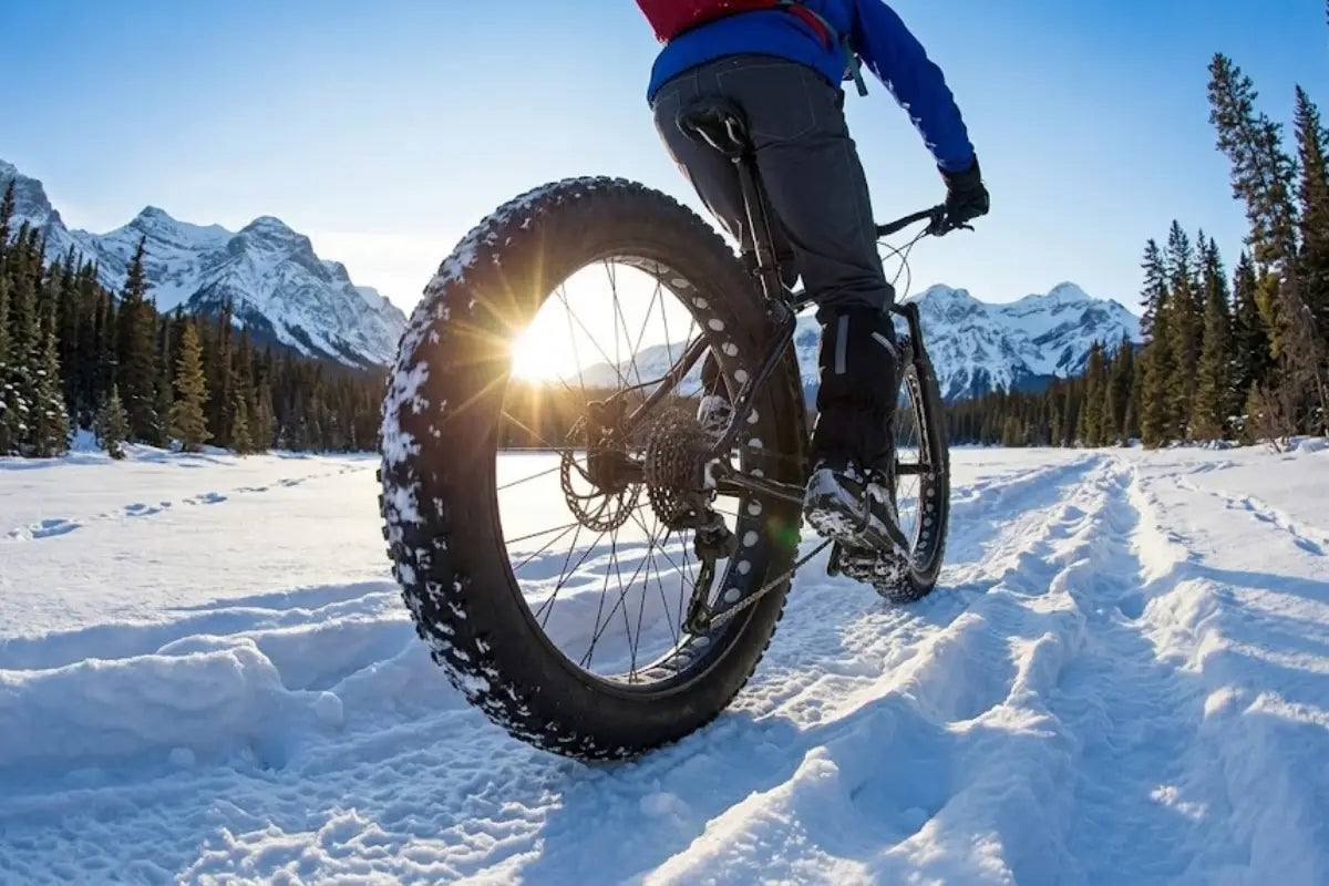 Bike Tire Pressure in Winter: PSI Guide & Should Tyre Pressure Be Higher?
