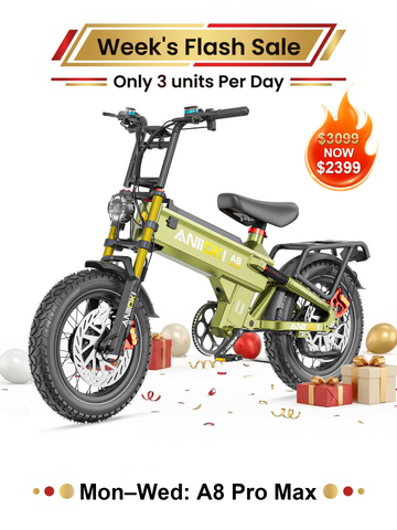 This Week's Flash Sale eBike II