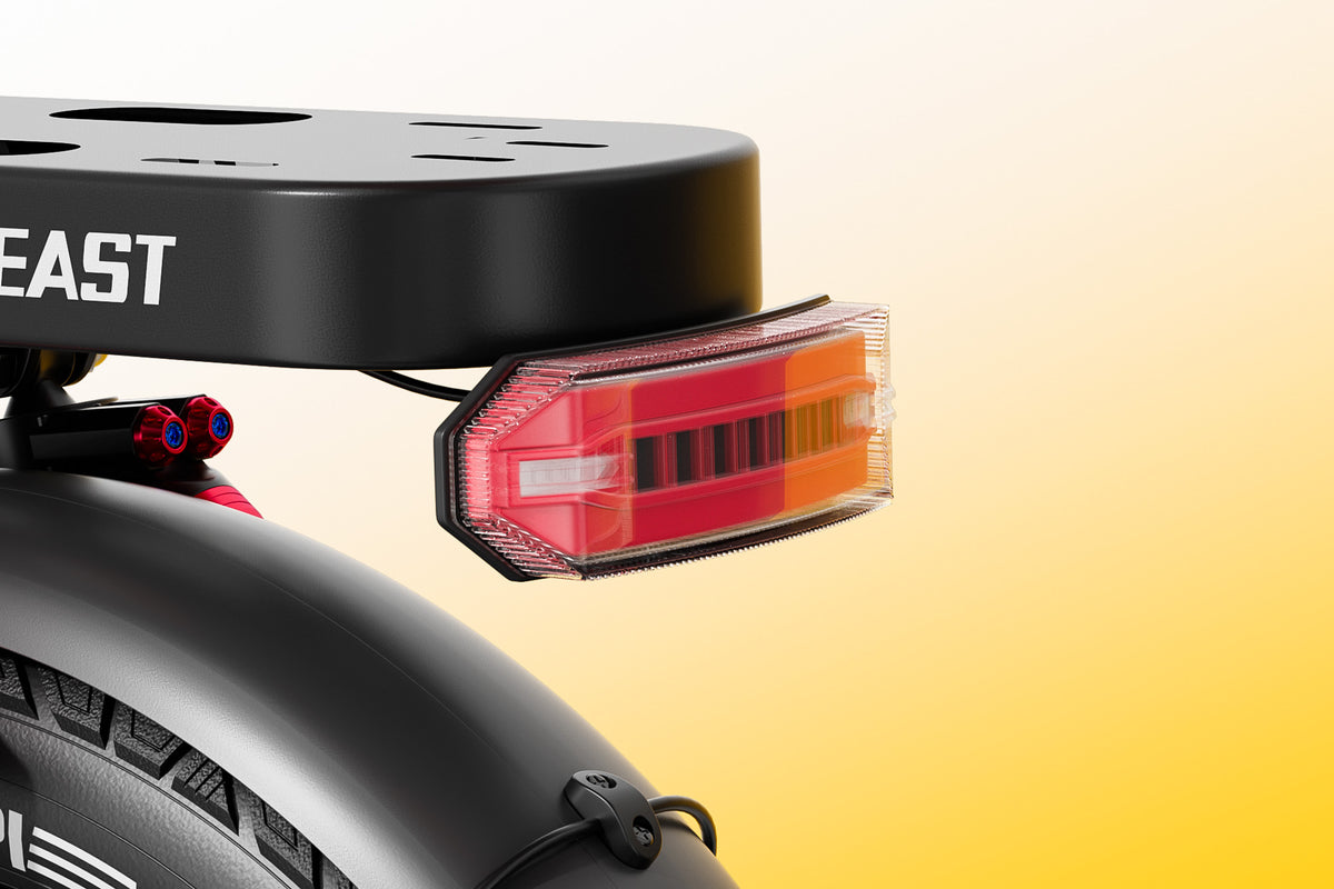 Brake &Turn Lights
