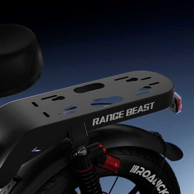 Rear Cargo Rack