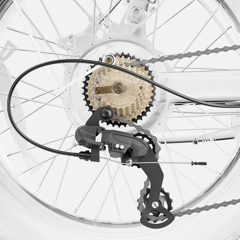 7-Speed Shimano