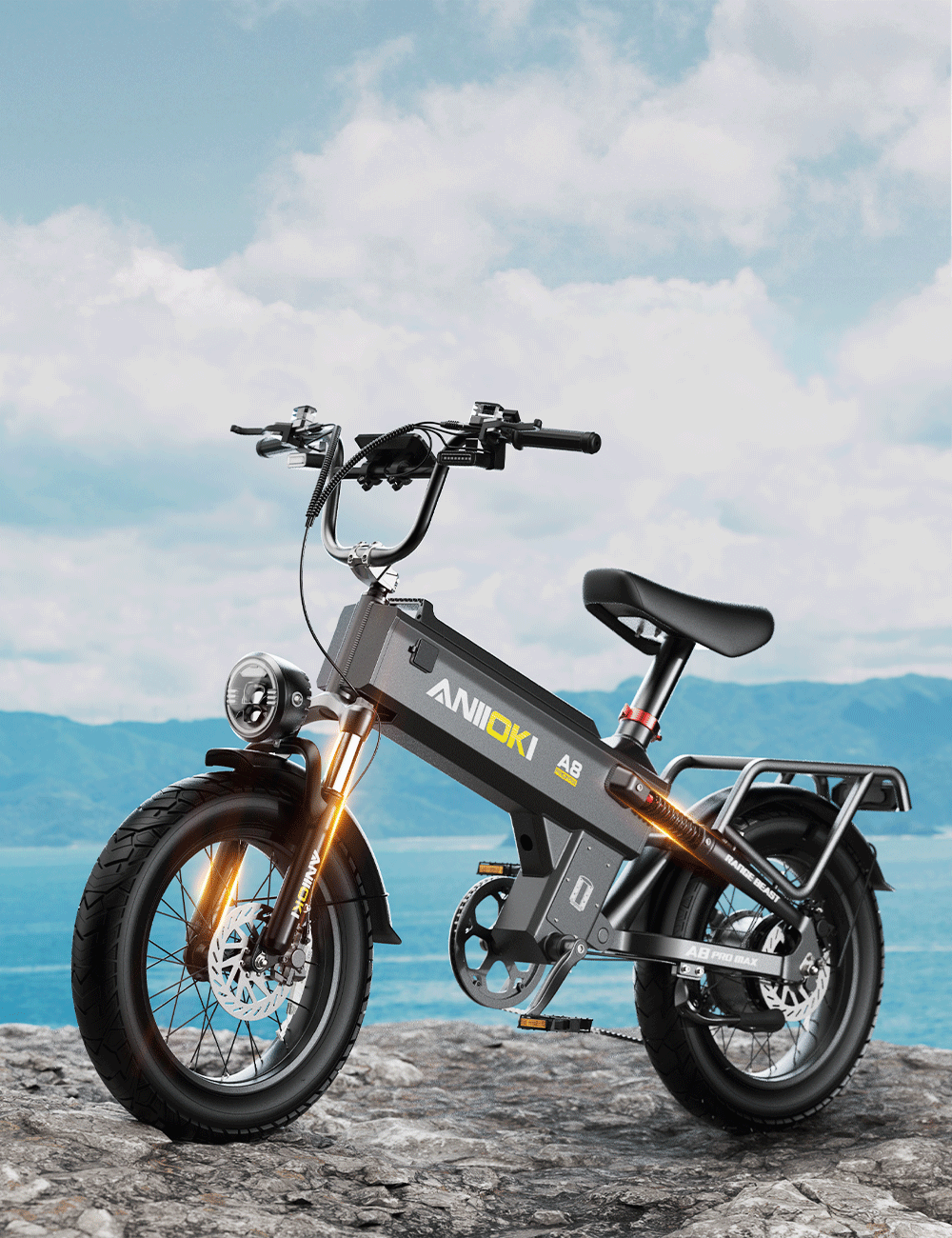 48V EBIKE