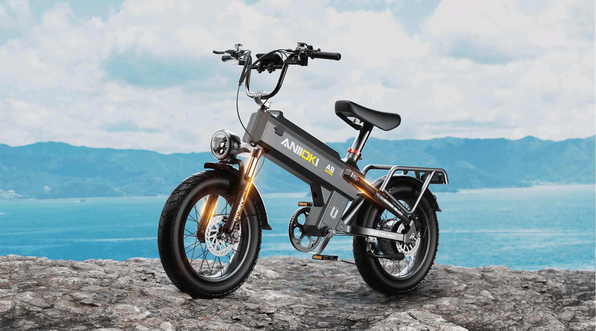 48V EBIKE