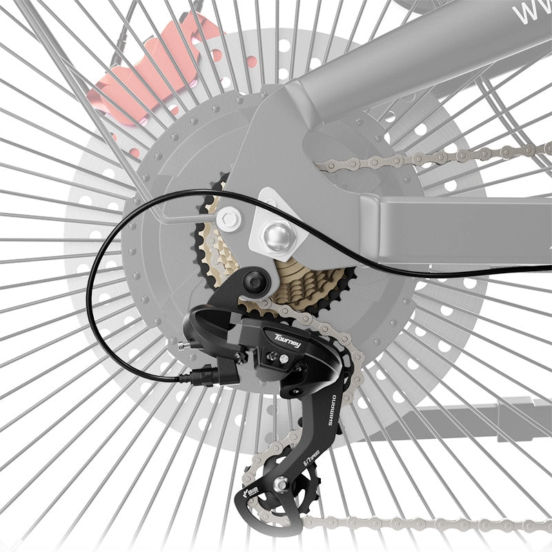 Shimano 7 Speed 