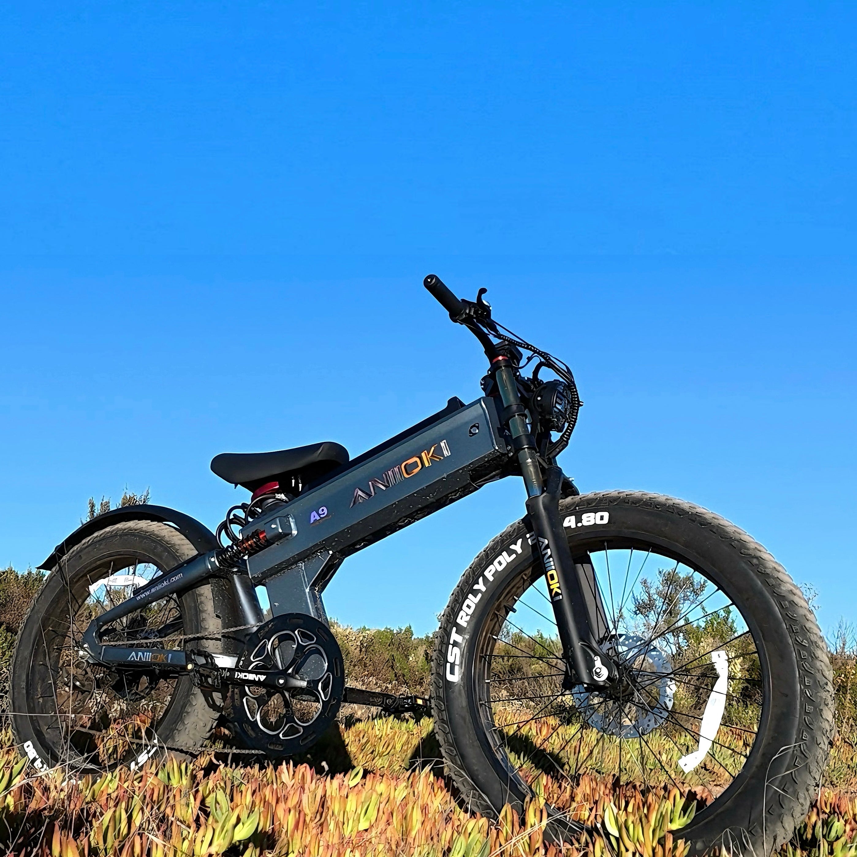 2025 Version Aniioki A9 Pro Max