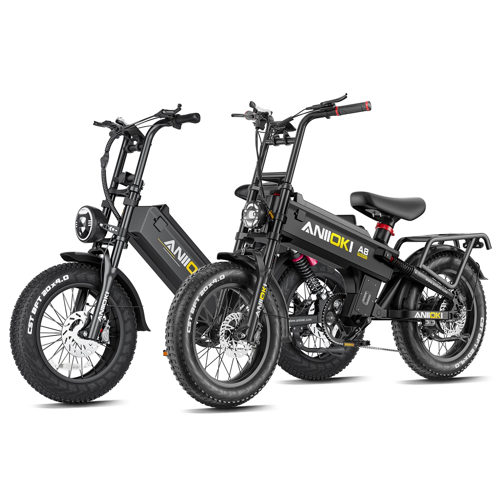 Couple’s Power Ride 52v eBike