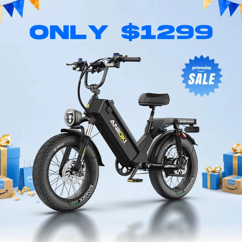 AQ177 Pro Max eBike(Pre-sale)