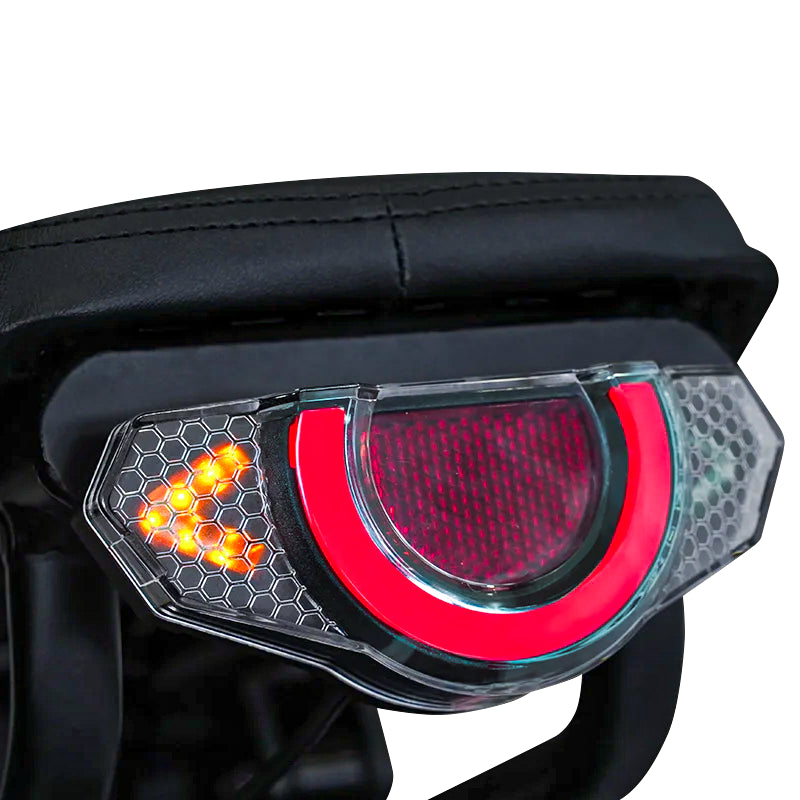 Brake & Turn signal Blinker