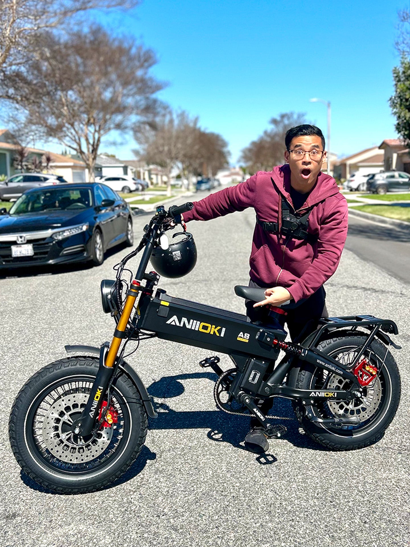 2025 Version A8 Pro Max Dual Motor Ebike – aniiokiebike