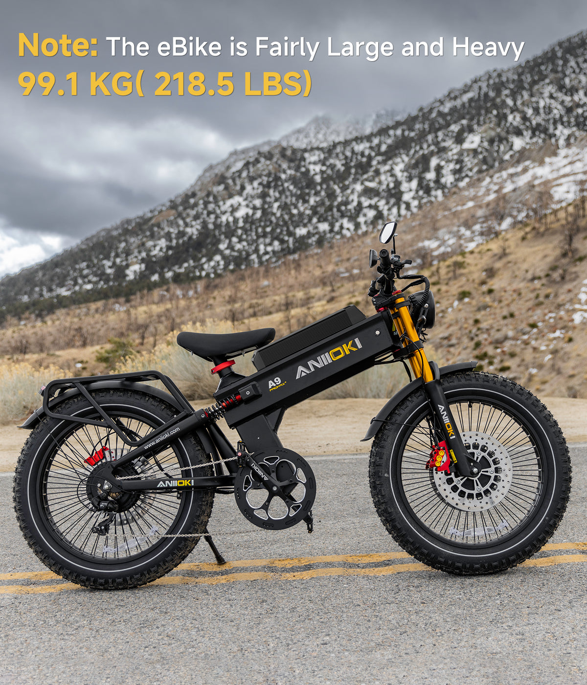 Aniioki A9 Pro Max GT eBike