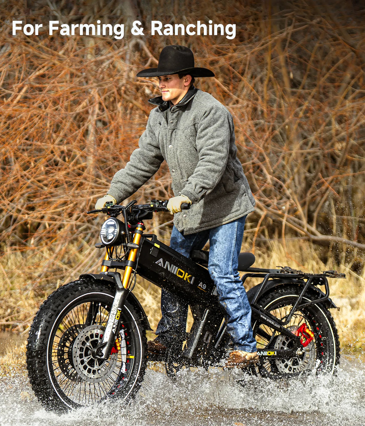 Aniioki A9 Pro Max GT eBike