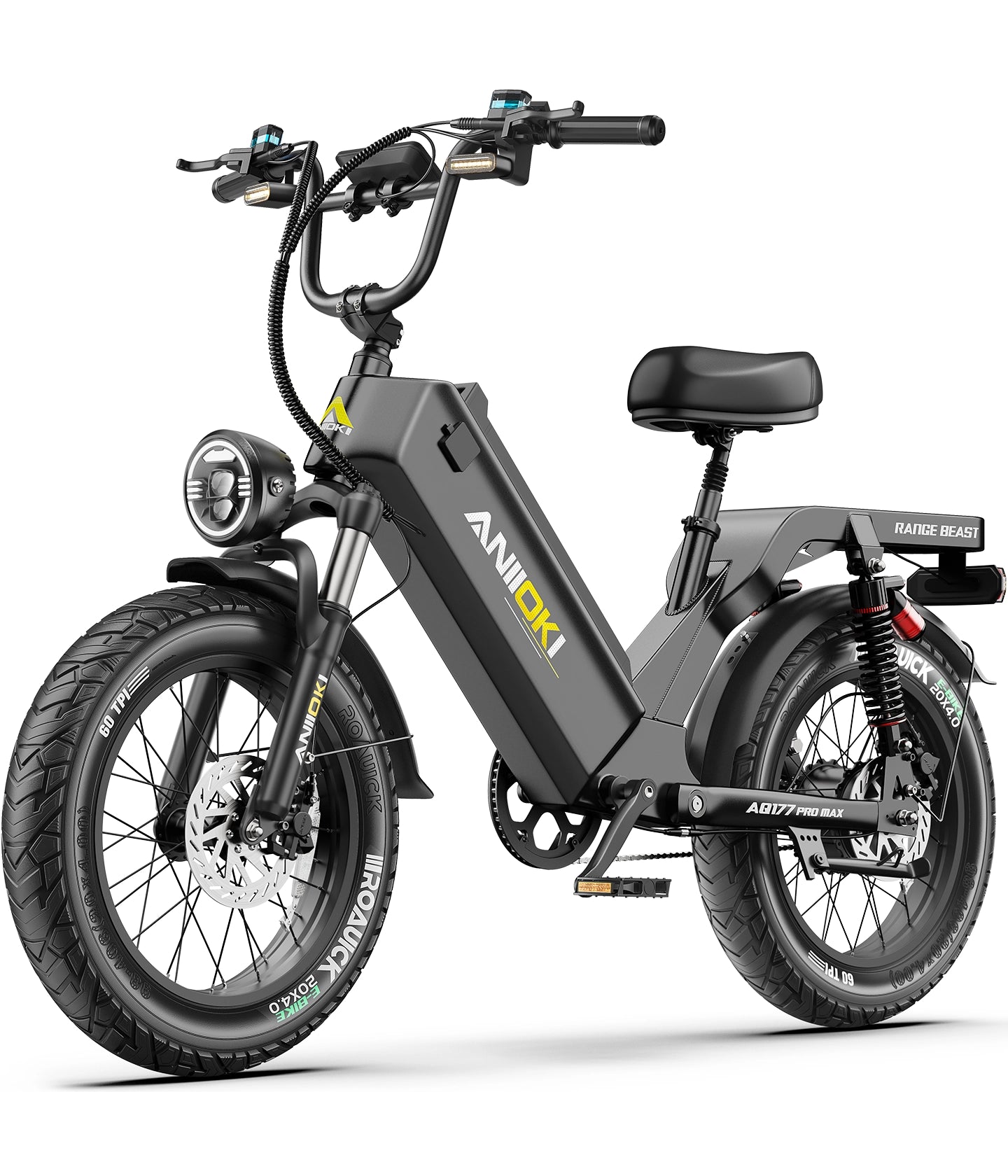 Affordable Electric Bike