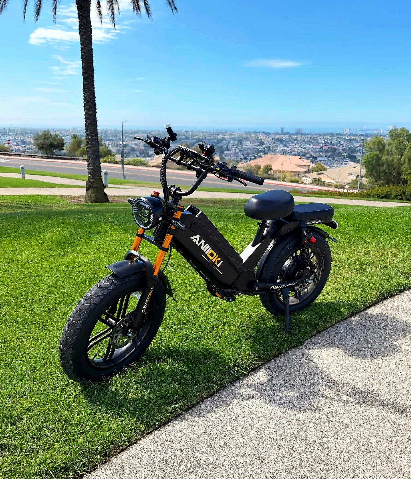 AQ177 Pro Max Ultra eBikes（ Pre-order）