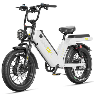 2025 Version AQ177 Pro Max Dual Motor Ebike