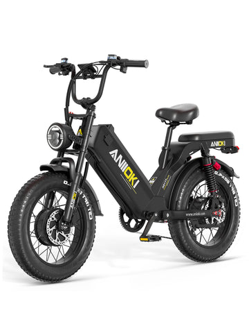 ANIIOKI AQ177 Pro Max Dual Motor eBike