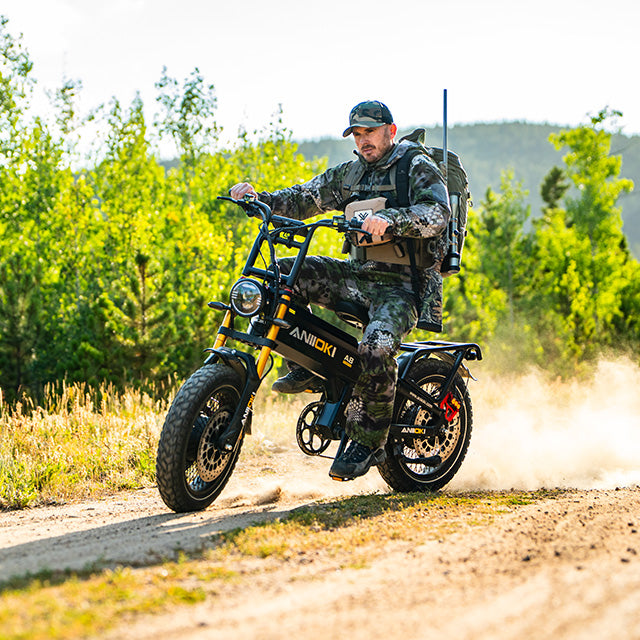 2025 Version A8 Pro Max Power Station Ebikes - aniiokiebike