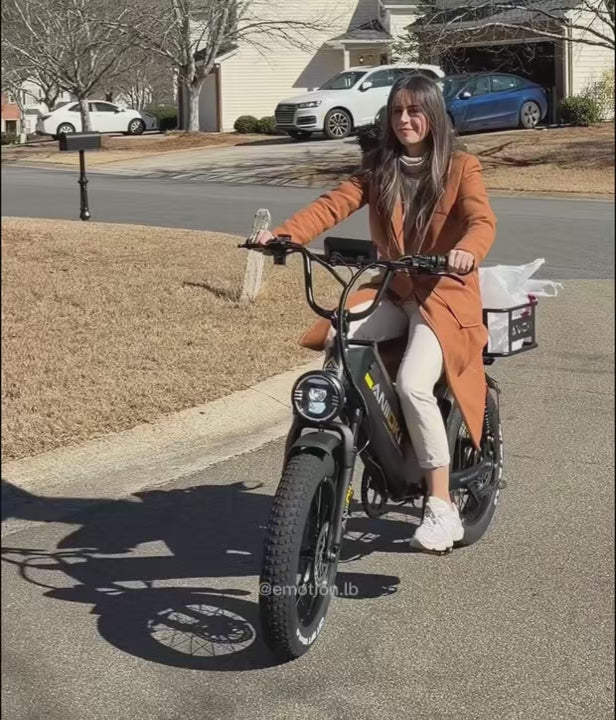 AQ177 Pro Max eBike